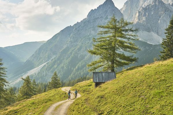 E-bike tour